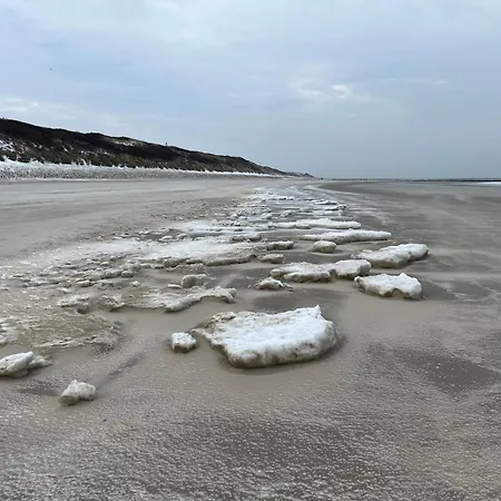 Wilder Klaus * 万根沃格