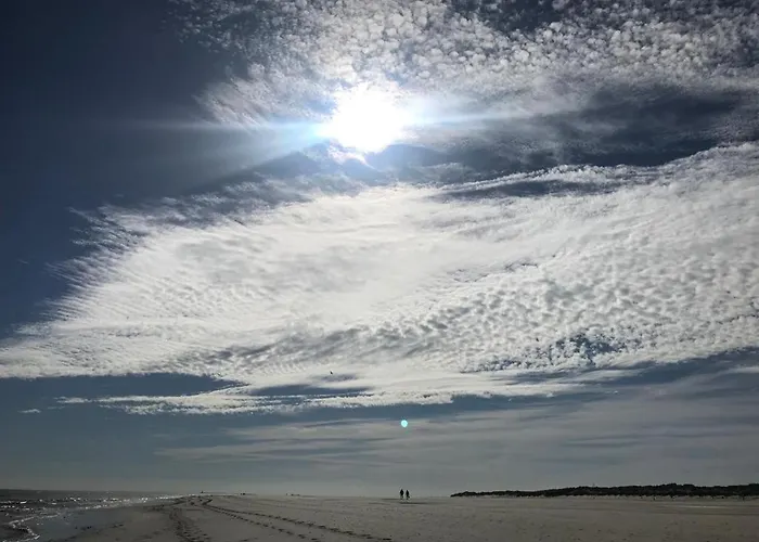 Wilder Klaus 万根沃格