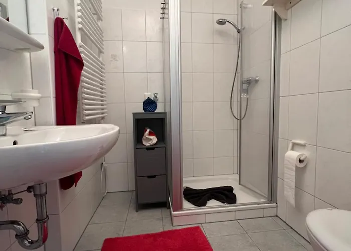 Wilder Klaus * 万根沃格