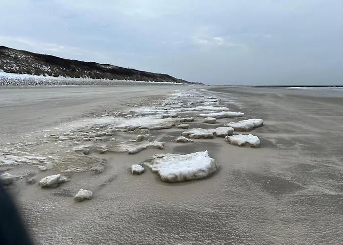 Wilder Klaus * 万根沃格